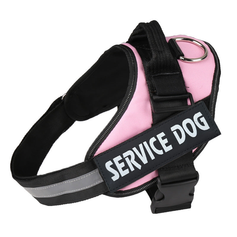 Pet leash