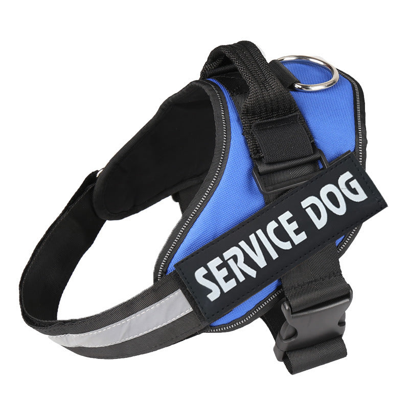 Pet leash