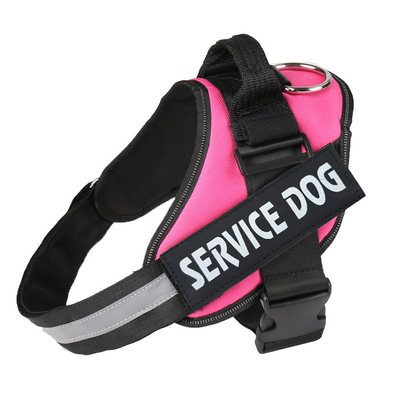 Pet leash