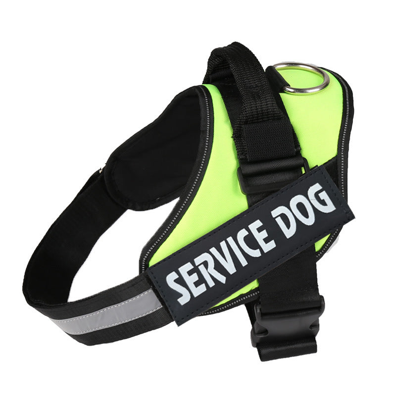 Pet leash