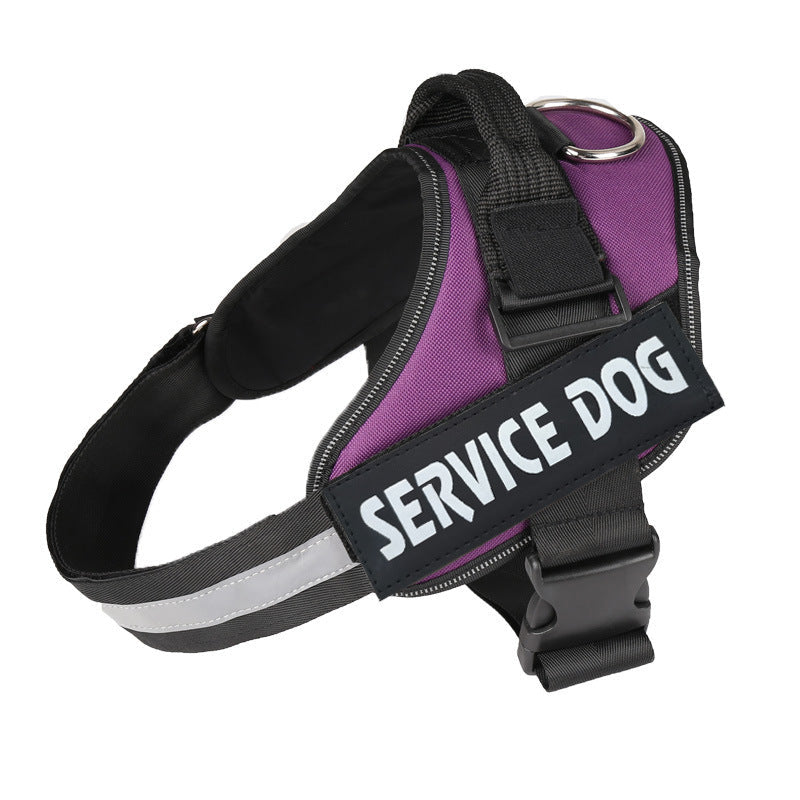 Pet leash