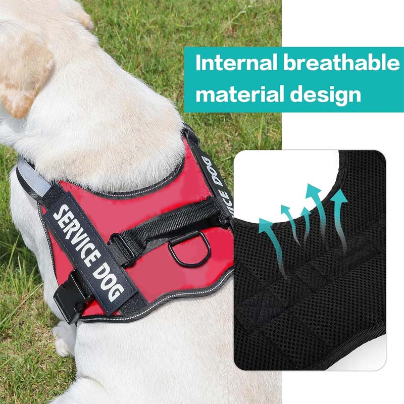Pet leash