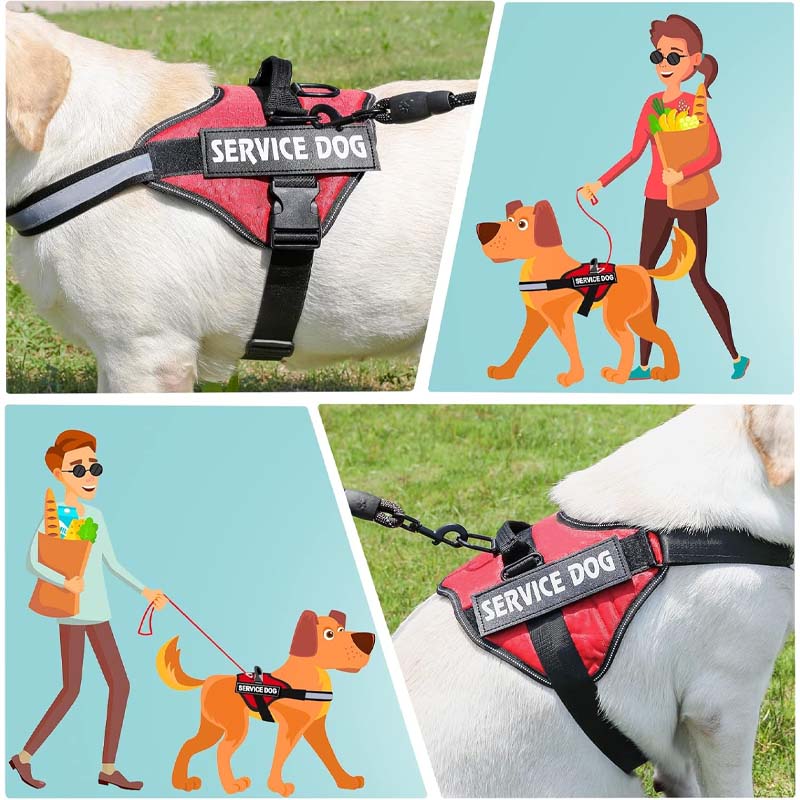 Pet leash