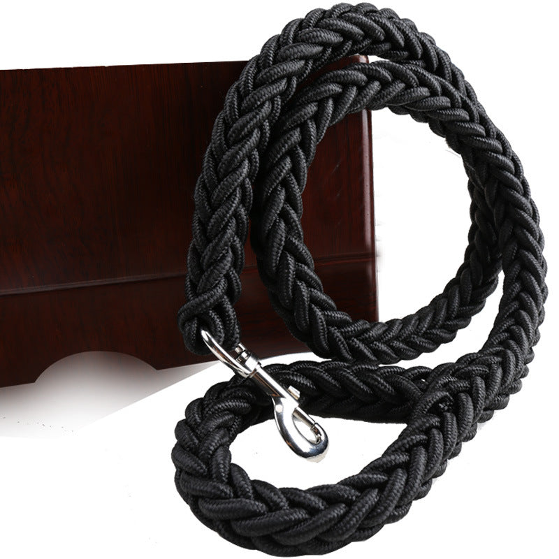 Pet leash