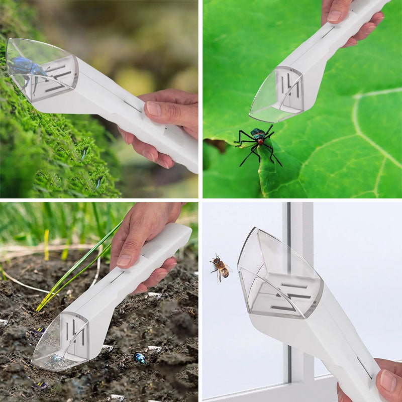 Handheld Insect Catcher