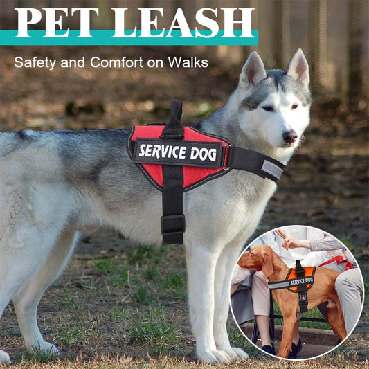 Pet leash